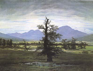 Caspar David Friedrich The Lone Tree (mk09`) oil painting picture